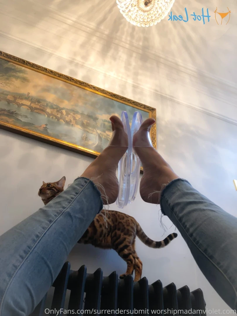 Madam Violet [ surrendersubmit ] Onlyfans leaked photo 11636499 on Hotleaks.tv
