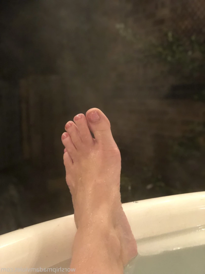 Madam Violet [ surrendersubmit ] Onlyfans leaked photo 12159350 on Hotleaks.tv