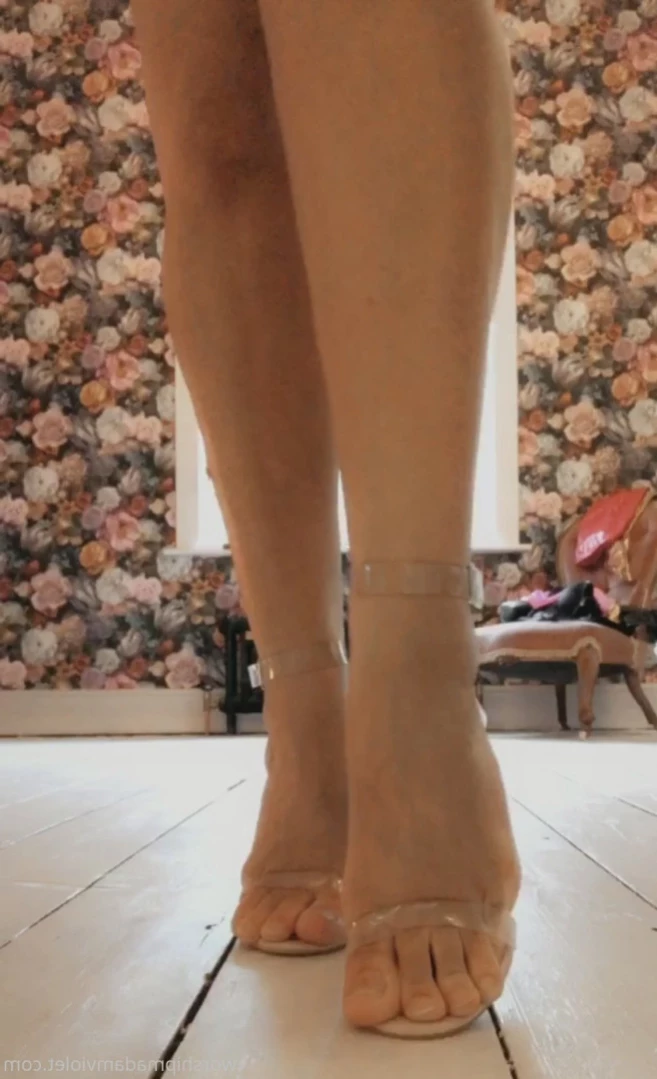 Madam Violet [ surrendersubmit ] Onlyfans leaked photo 14227049 on Hotleaks.tv