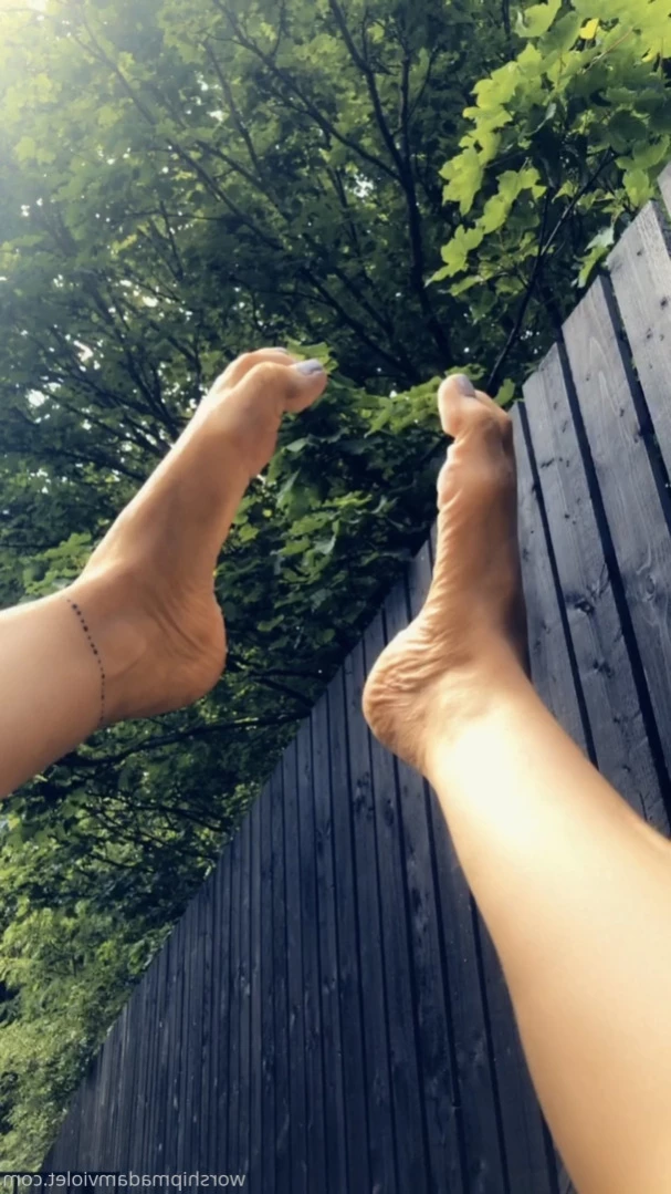 Madam Violet [ surrendersubmit ] Onlyfans leaked photo 14553621 on Hotleaks.tv