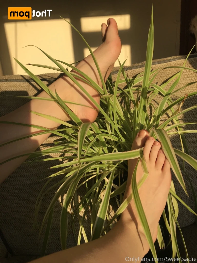 Sadie may [ sweetsadiefeet ] Onlyfans leaked photo 16174142 on Hotleaks.tv