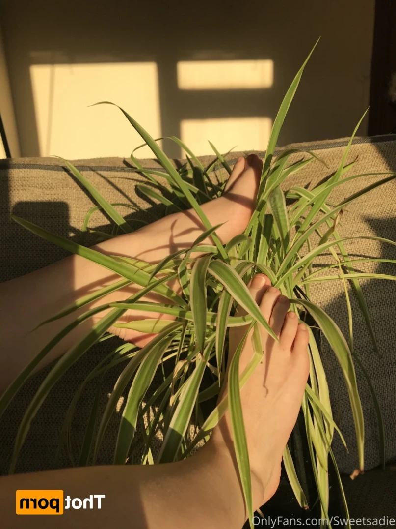 Sadie may [ sweetsadiefeet ] Onlyfans leaked photo 16174217 on Hotleaks.tv