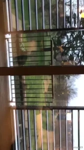 Tara may [ taramayxx ] Onlyfans leaked video 7948530 on Hotleaks.tv