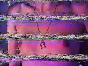 9256675
