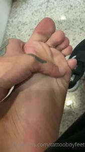 7947306