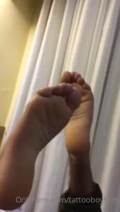 7947309