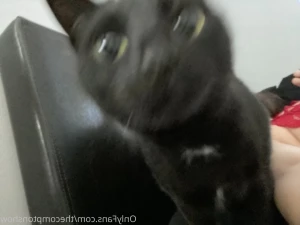 8868363