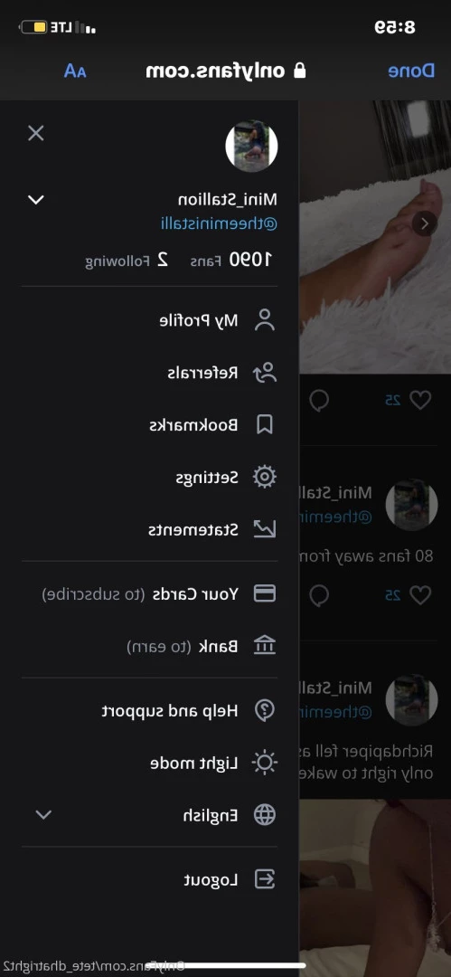 theeministalli Onlyfans leaked photo 17051246 on Hotleaks.tv