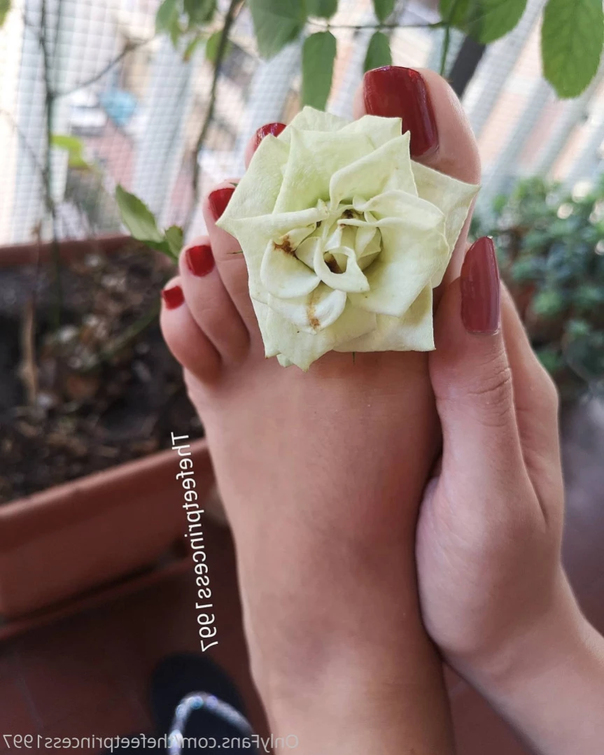 thefeetprincess1997 Onlyfans leaked photo 10886192 on Hotleaks.tv