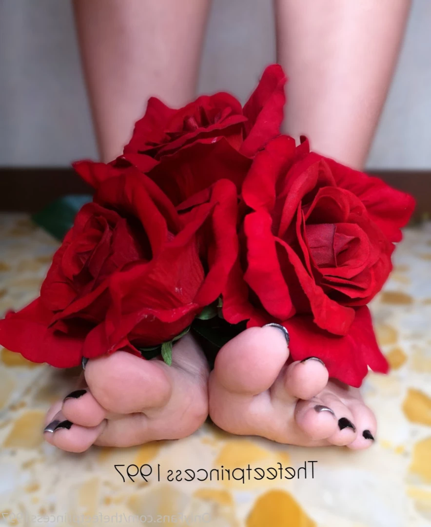 thefeetprincess1997 Onlyfans leaked photo 12037882 on Hotleaks.tv