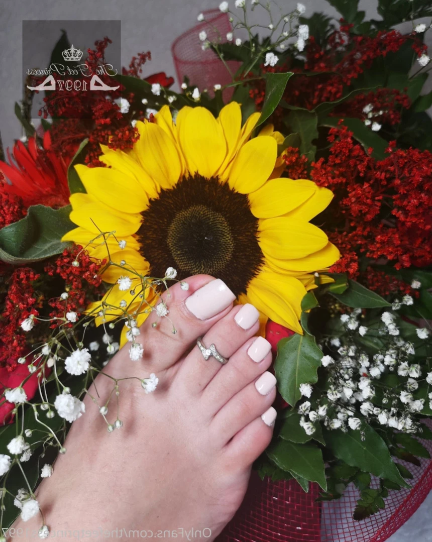 thefeetprincess1997 Onlyfans leaked photo 12037936 on Hotleaks.tv