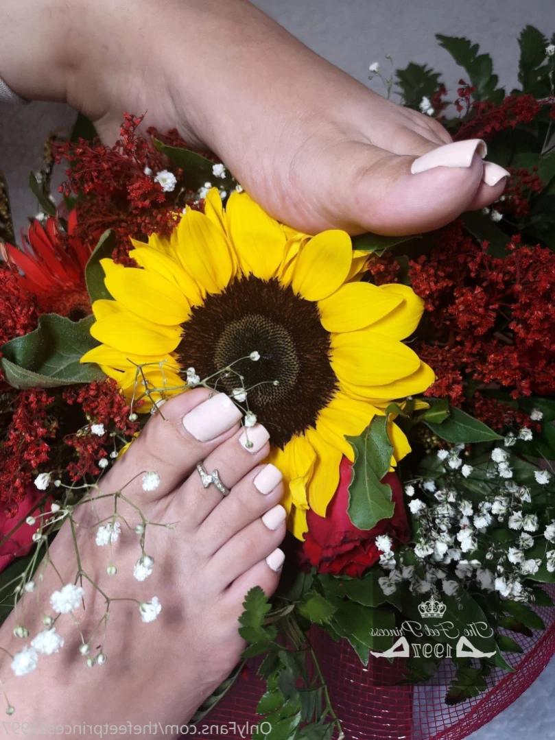 thefeetprincess1997 Onlyfans leaked photo 13004028 on Hotleaks.tv