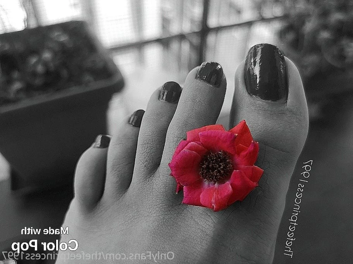 thefeetprincess1997 Onlyfans leaked photo 13626634 on Hotleaks.tv