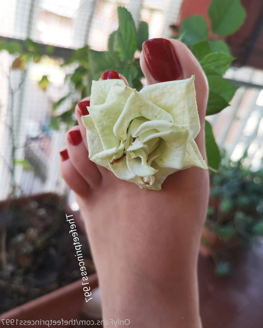 thefeetprincess1997 Onlyfans leaked photo 13636564 on Hotleaks.tv