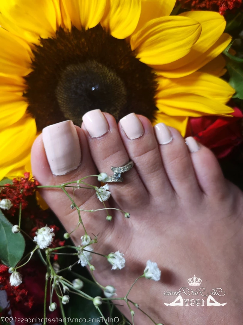 thefeetprincess1997 Onlyfans leaked photo 14000151 on Hotleaks.tv