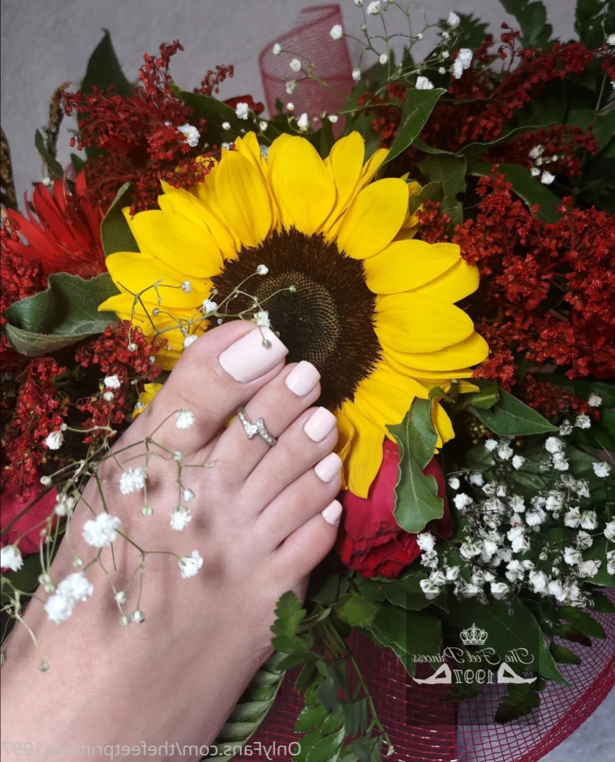 thefeetprincess1997 Onlyfans leaked photo 15348650 on Hotleaks.tv