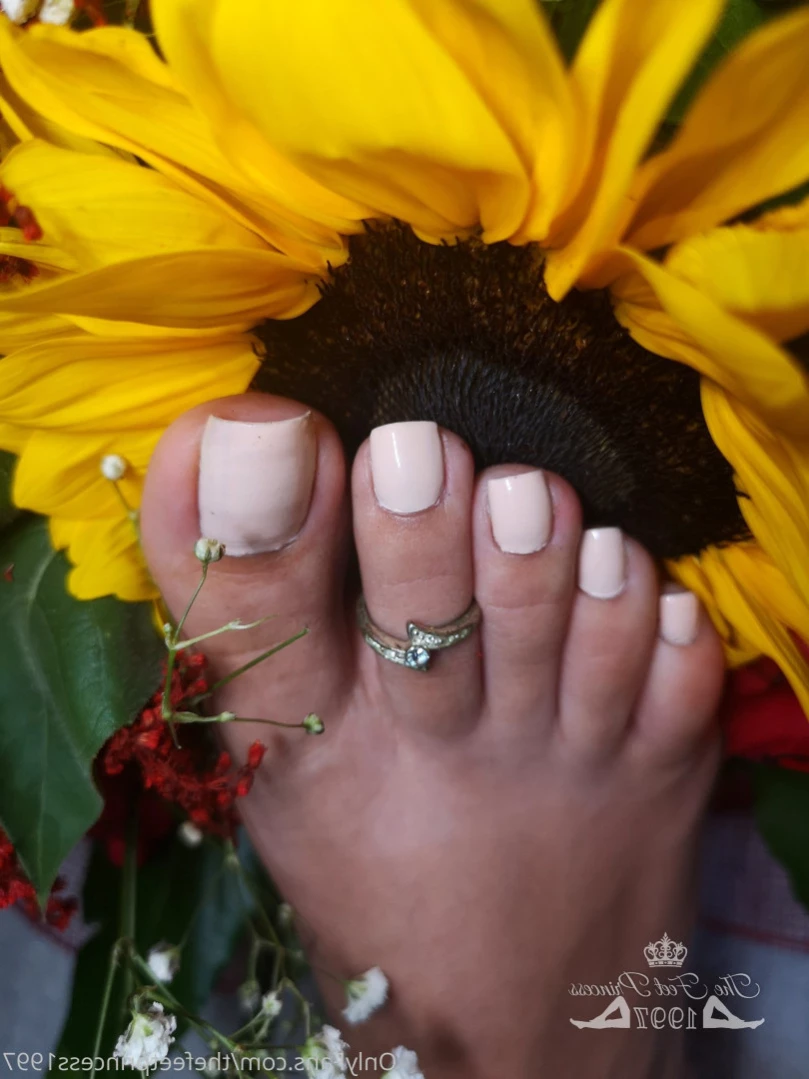 thefeetprincess1997 Onlyfans leaked photo 16260717 on Hotleaks.tv