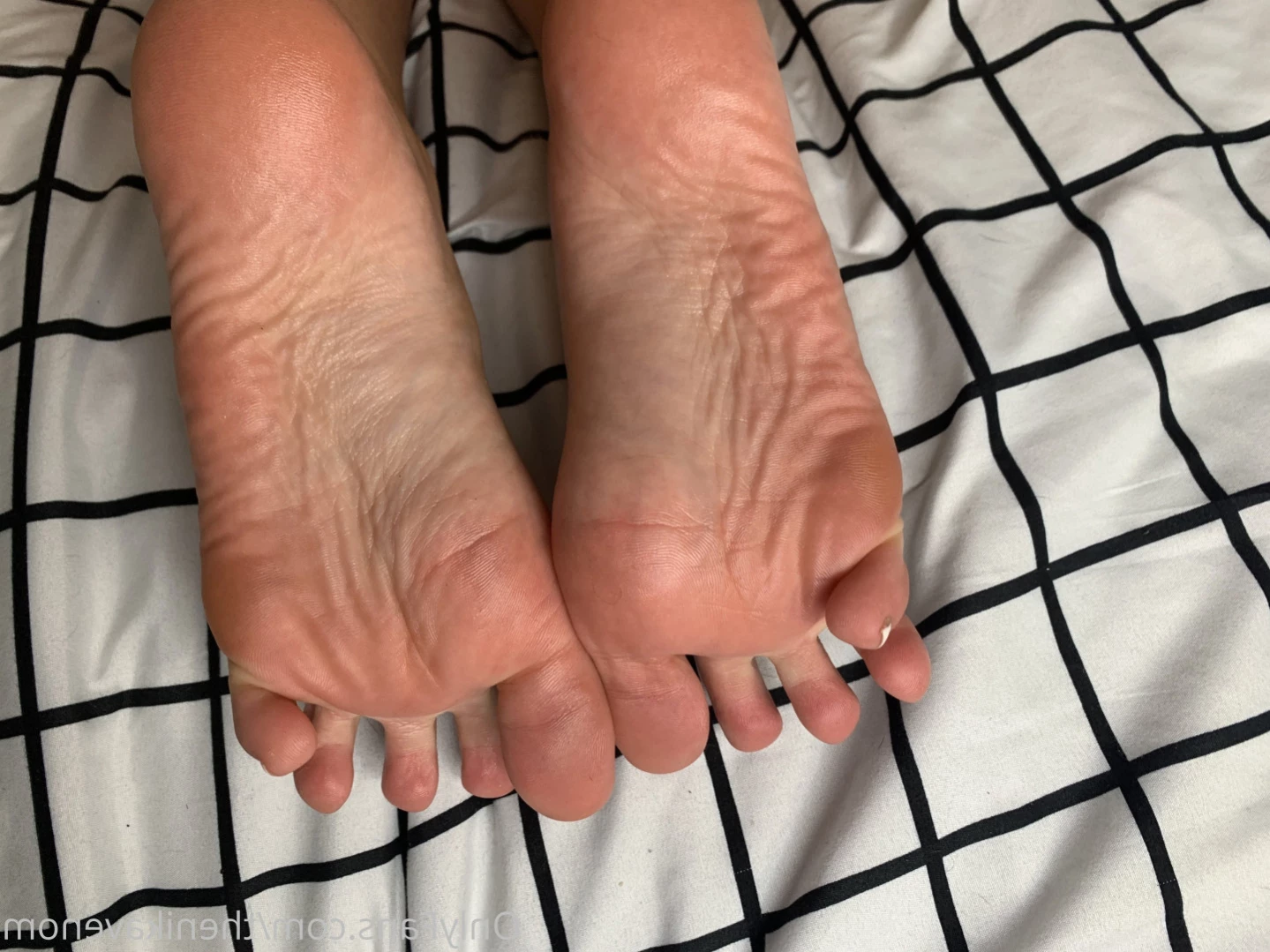 Nika Venom 🦋🌙 [ thenikavenom ] Onlyfans leaked photo 14615545 on Hotleaks.tv