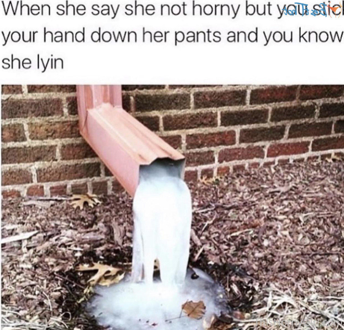 thishornygirl Onlyfans leaked photo 17020824 on Hotleaks.tv