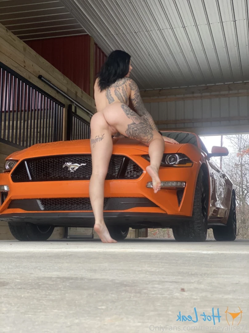 tierney alise 71 [ tierneyalise71 ] Onlyfans leaked photo 14361456 on Hotleaks.tv