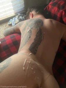 15669527