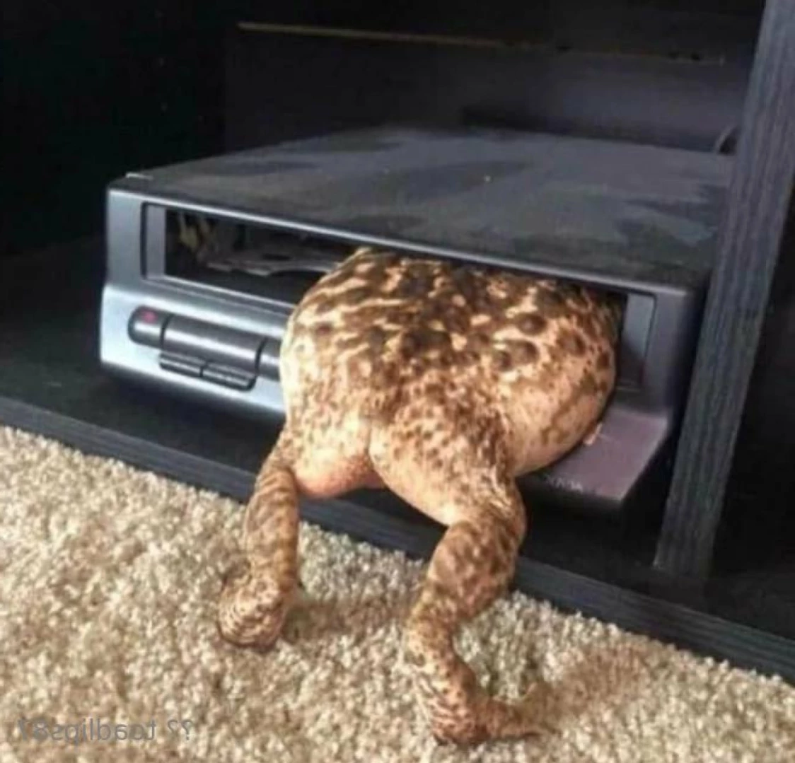 Toad [ toadlips87 ] Onlyfans leaked photo 15509504 on Hotleaks.tv