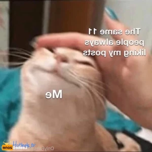 16276050