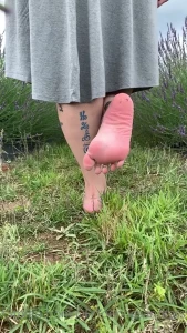 7935155