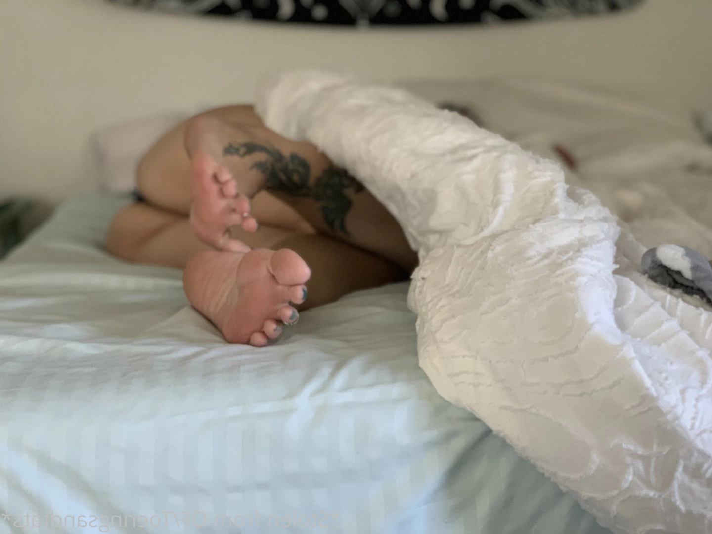 Lexi - Toe Rings and Tattoos [ toeringsandtats ] Onlyfans leaked photo 8778725 on Hotleaks.tv