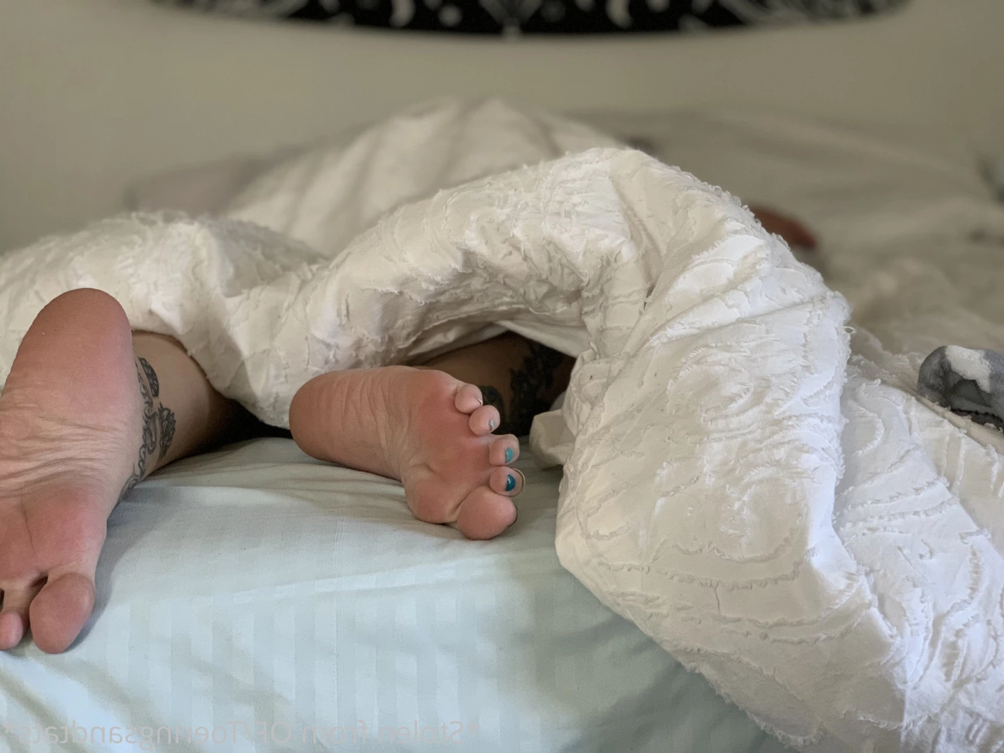 Lexi - Toe Rings and Tattoos [ toeringsandtats ] Onlyfans leaked photo 8784387 on Hotleaks.tv