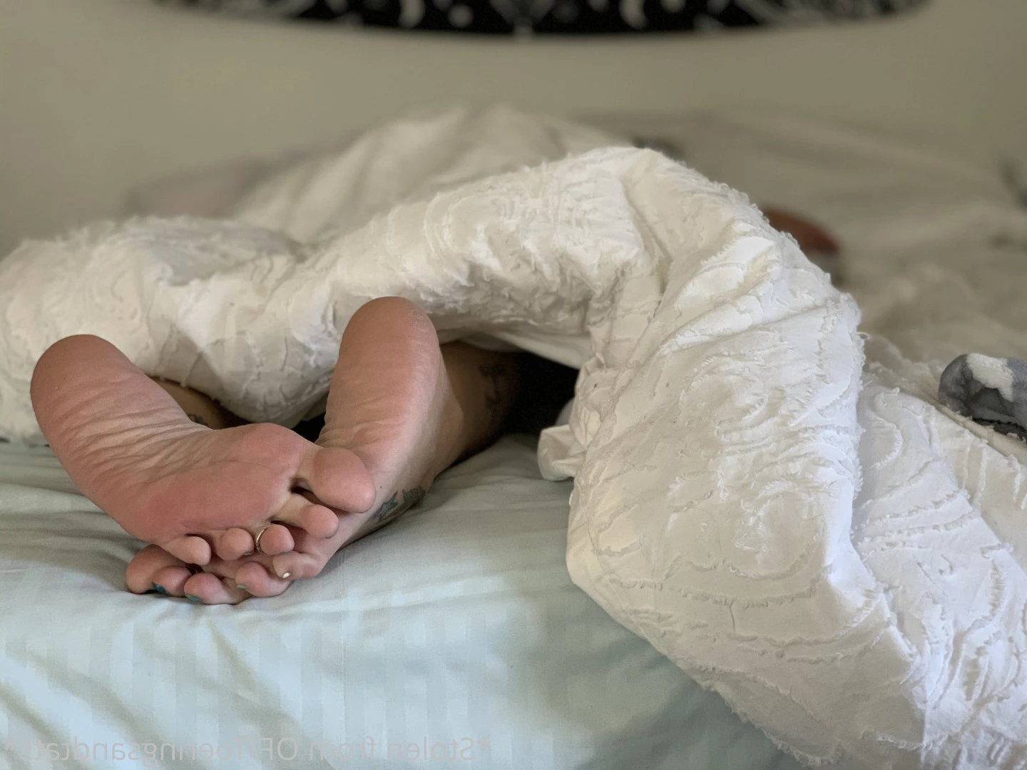 Lexi - Toe Rings and Tattoos [ toeringsandtats ] Onlyfans leaked photo 8787553 on Hotleaks.tv
