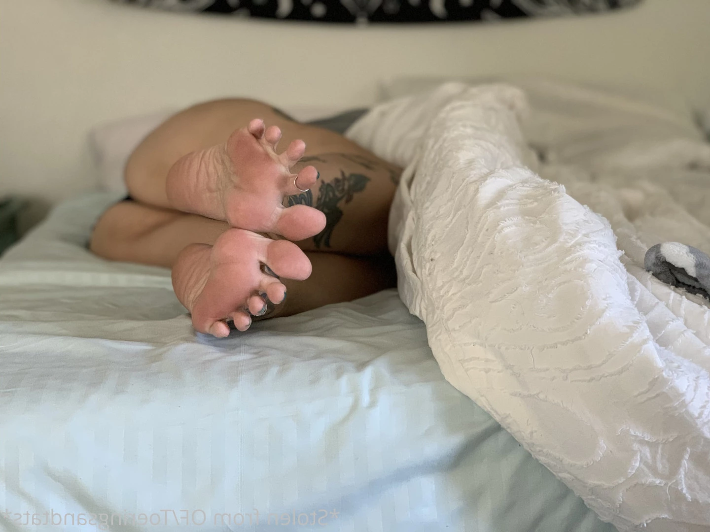 Lexi - Toe Rings and Tattoos [ toeringsandtats ] Onlyfans leaked photo 8794039 on Hotleaks.tv