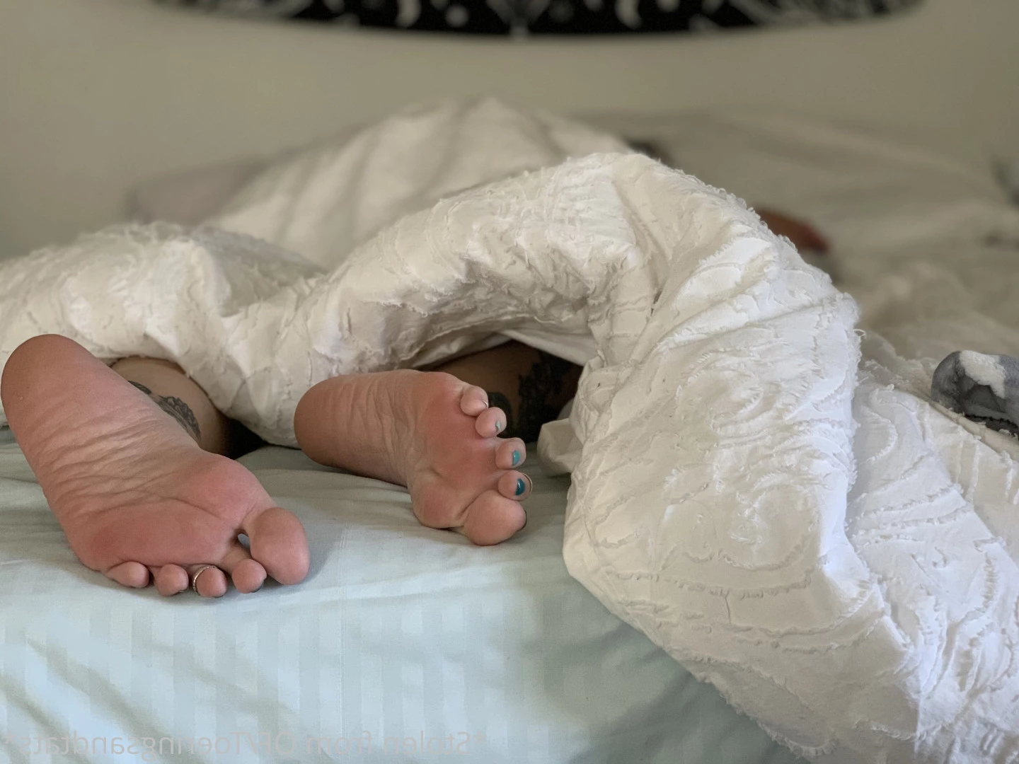Lexi - Toe Rings and Tattoos [ toeringsandtats ] Onlyfans leaked photo 8822640 on Hotleaks.tv