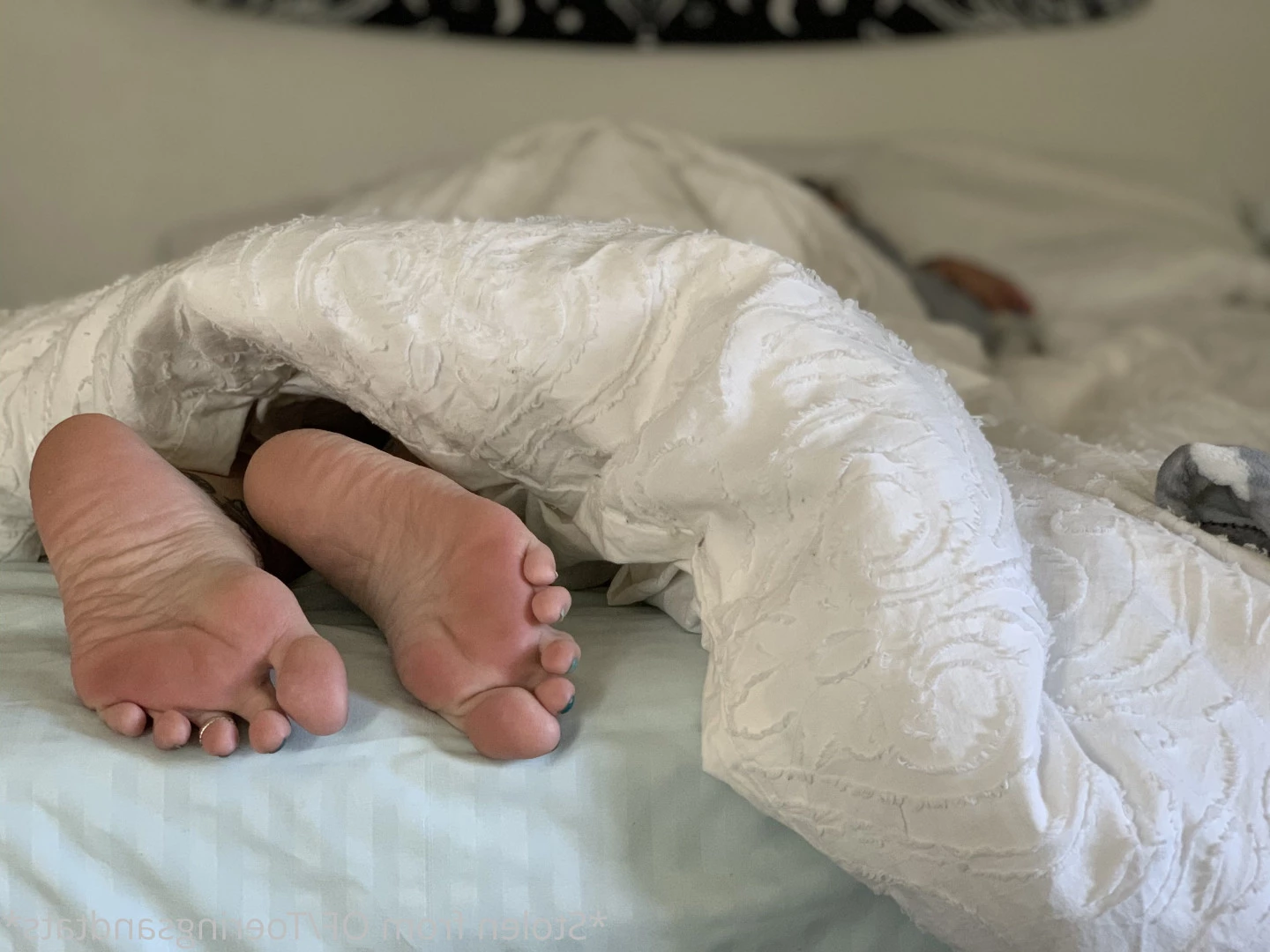 Lexi - Toe Rings and Tattoos [ toeringsandtats ] Onlyfans leaked photo 8829016 on Hotleaks.tv