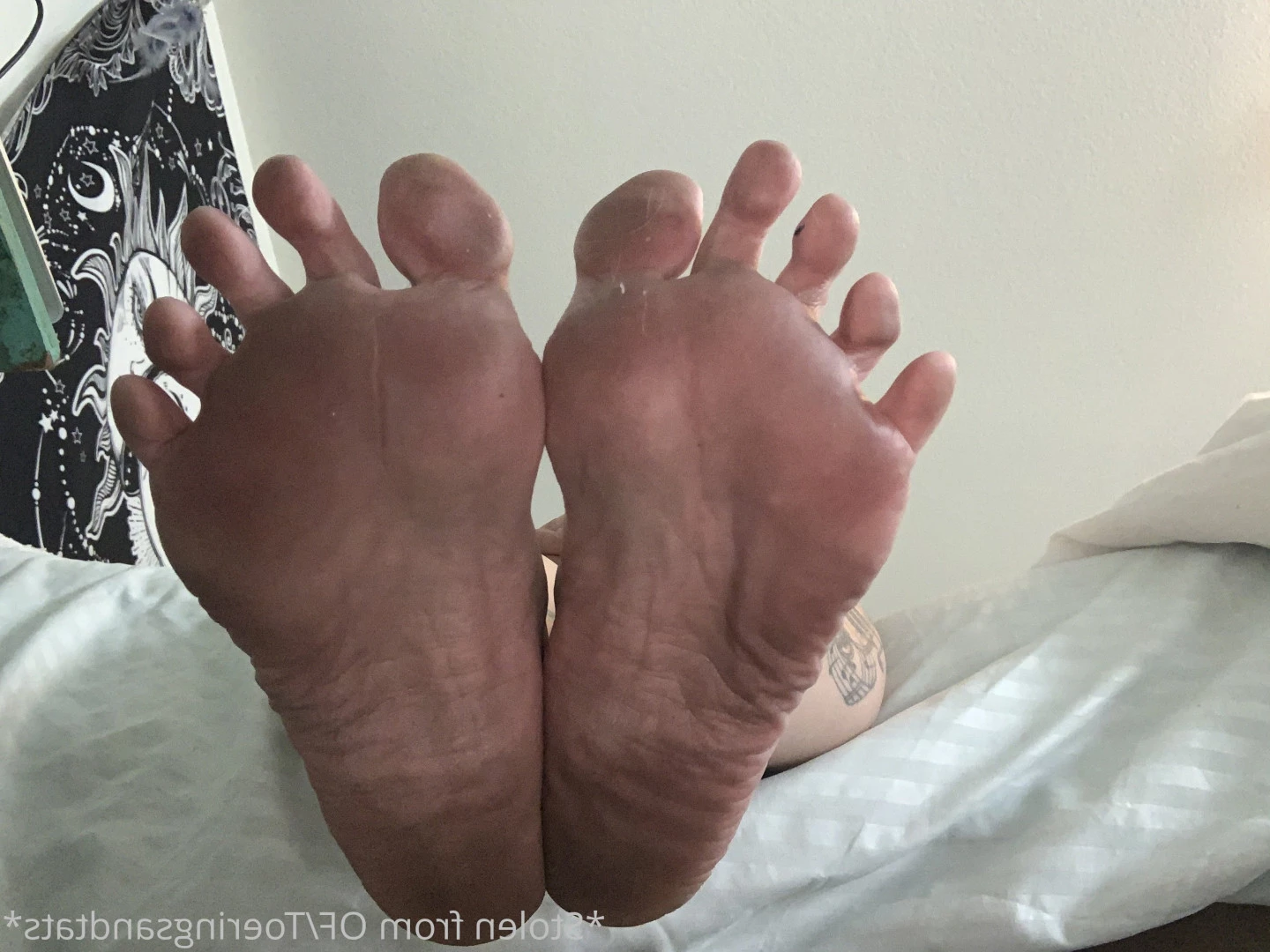 Lexi - Toe Rings and Tattoos [ toeringsandtats ] Onlyfans leaked photo 8830884 on Hotleaks.tv