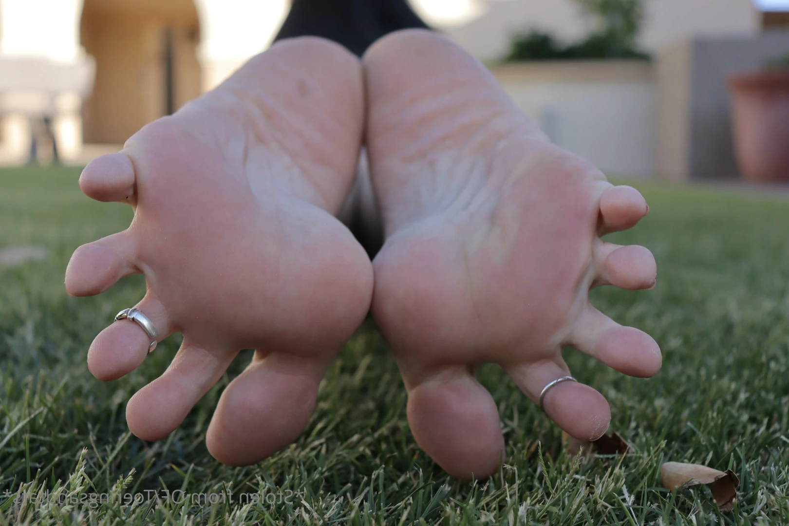 Lexi - Toe Rings and Tattoos [ toeringsandtats ] Onlyfans leaked photo 8831754 on Hotleaks.tv