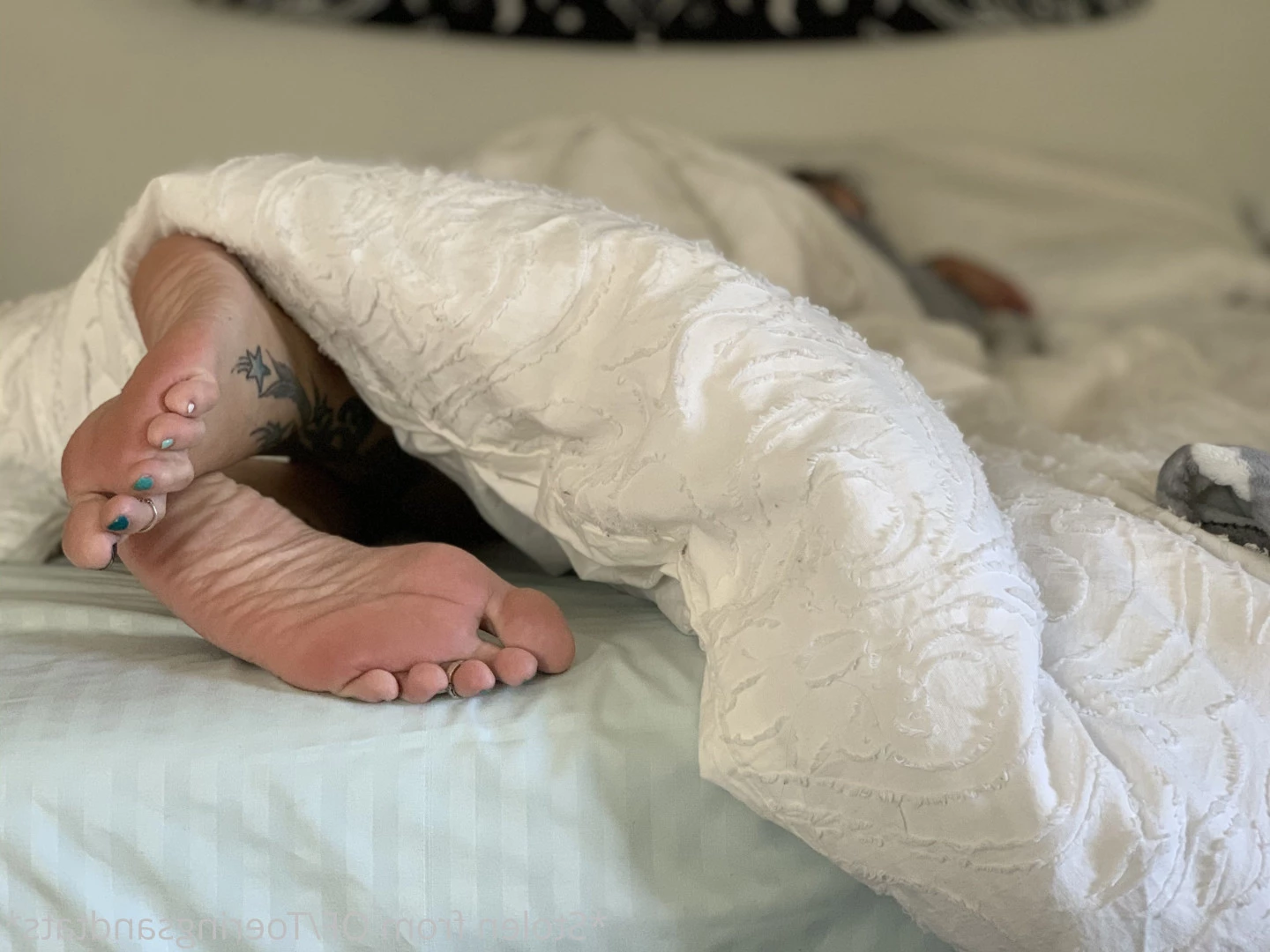 Lexi - Toe Rings and Tattoos [ toeringsandtats ] Onlyfans leaked photo 8835633 on Hotleaks.tv