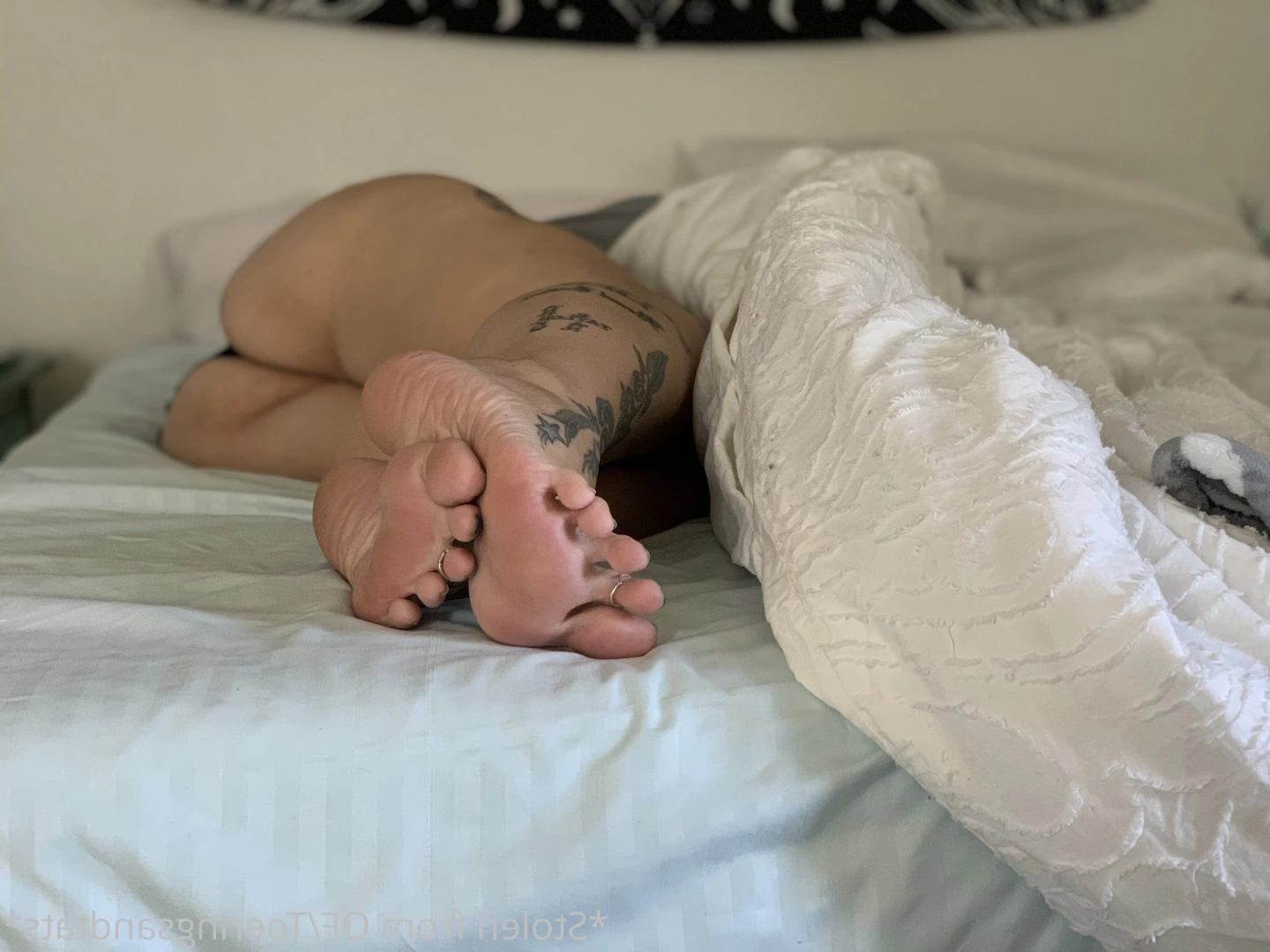 Lexi - Toe Rings and Tattoos [ toeringsandtats ] Onlyfans leaked photo 8837307 on Hotleaks.tv