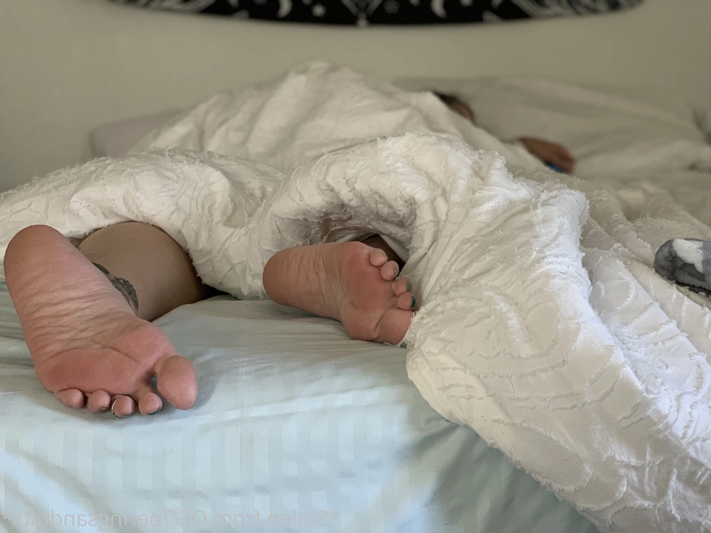 Lexi - Toe Rings and Tattoos [ toeringsandtats ] Onlyfans leaked photo 8844539 on Hotleaks.tv