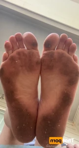 16251883