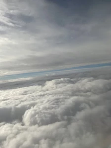 9245626