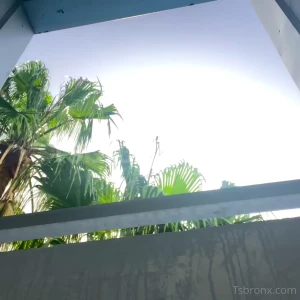 tsbronx Onlyfans leaked video 7930806 on Hotleaks.tv