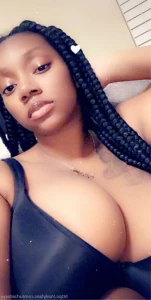 15327206