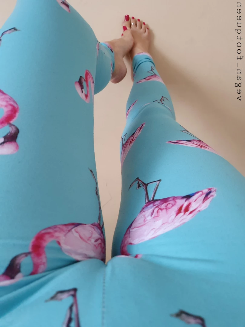 vegan_footqueen Onlyfans leaked photo 10142123 on Hotleaks.tv