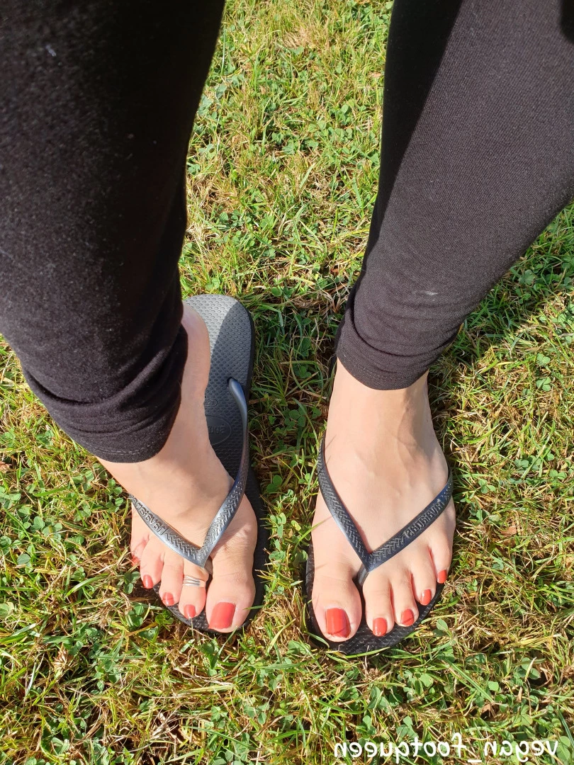 vegan_footqueen Onlyfans leaked photo 10143051 on Hotleaks.tv