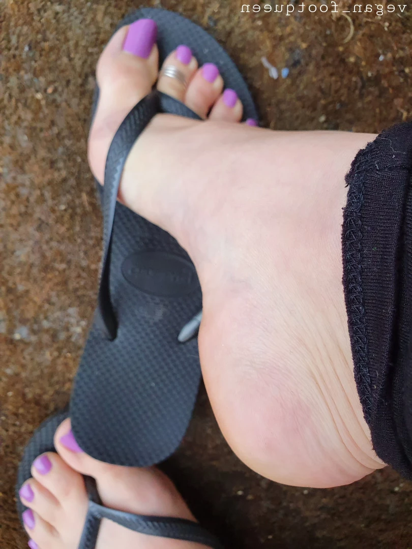 vegan_footqueen Onlyfans leaked photo 10149960 on Hotleaks.tv
