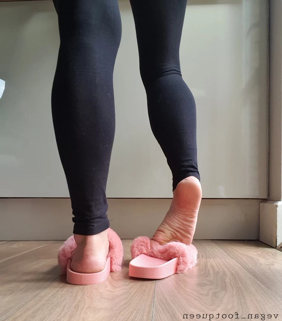 vegan_footqueen Onlyfans leaked photo 10167473 on Hotleaks.tv
