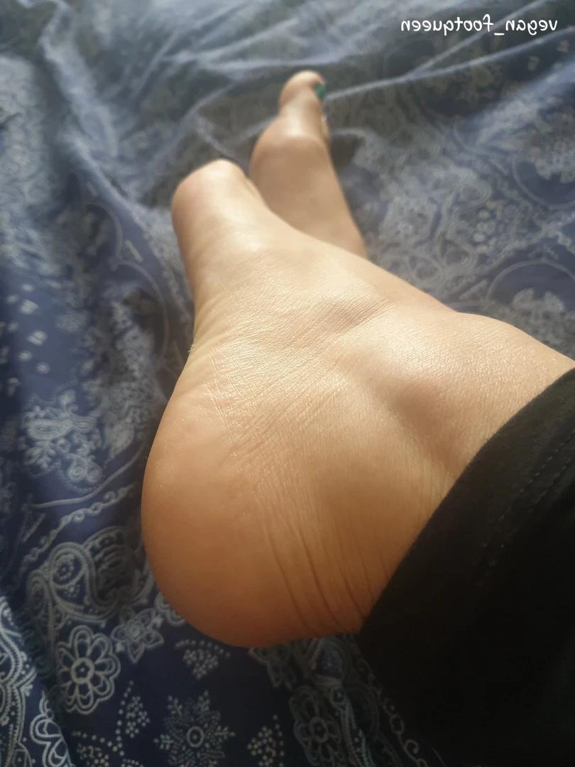vegan_footqueen Onlyfans leaked photo 10169204 on Hotleaks.tv