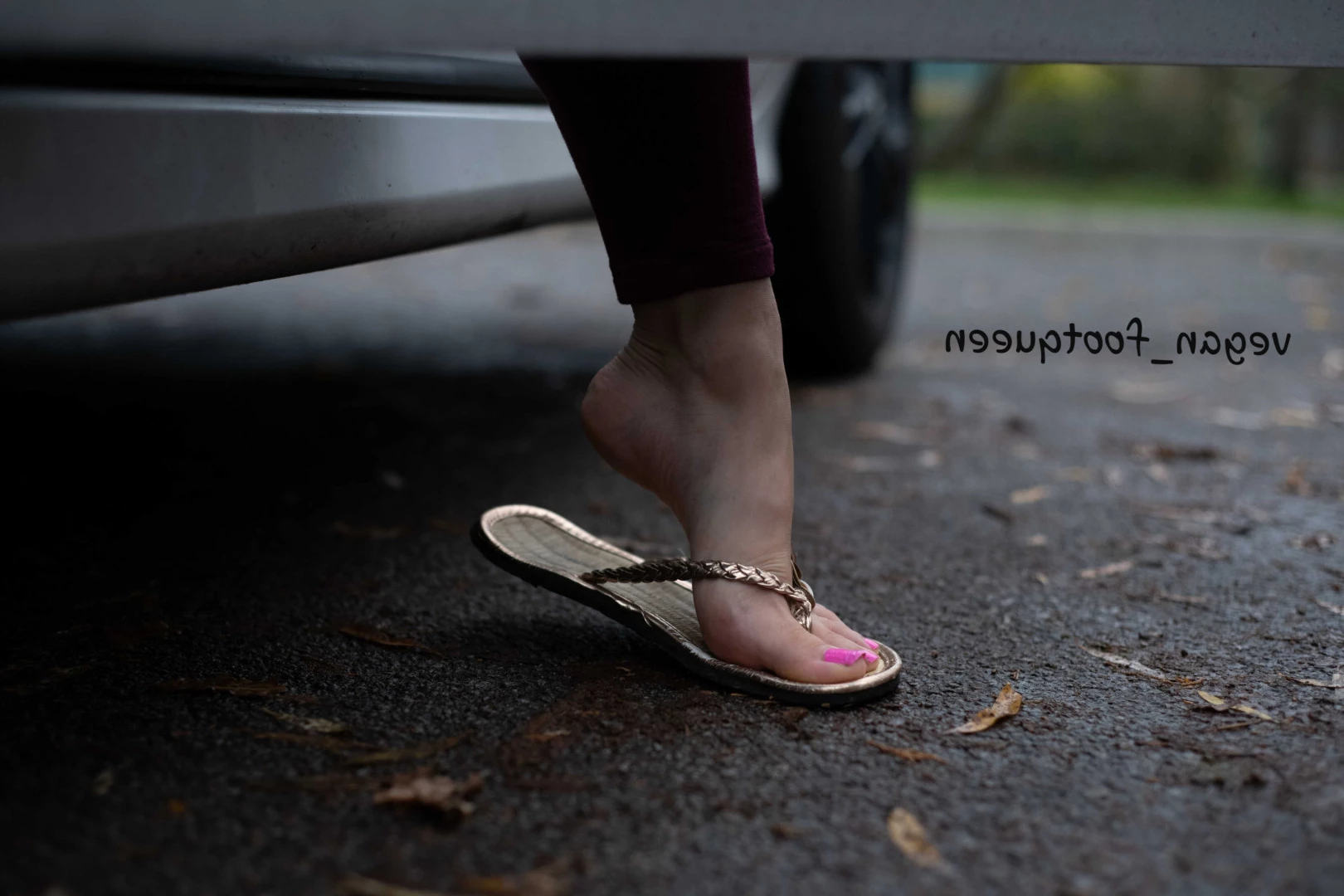 vegan_footqueen Onlyfans leaked photo 10180891 on Hotleaks.tv