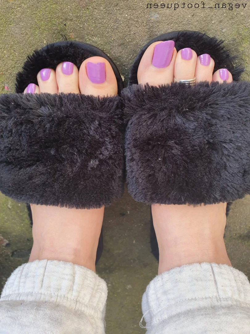 vegan_footqueen Onlyfans leaked photo 10197064 on Hotleaks.tv